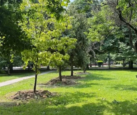 Totul Verde pregătește un super parc în zona Unirii