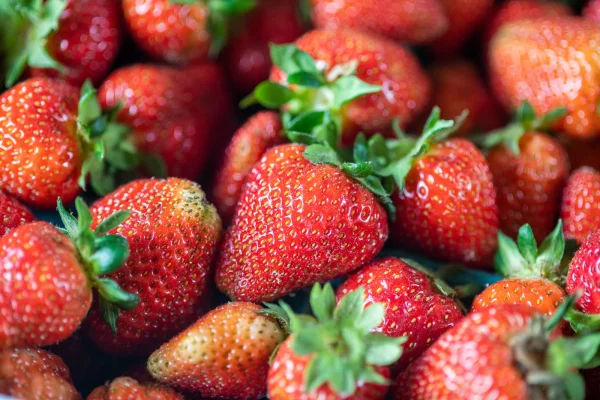Povestea unui cultivator de căpşuni din Bucovina