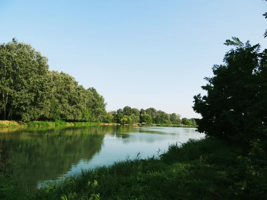 „Putem avea o viață de calitate doar dacă avem o natură de calitate”- De ce trebuie educați copiii să protejeze resursele naturale