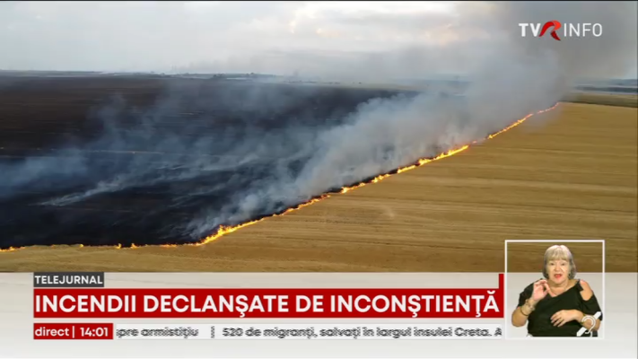 Incendiu puternic de vegetație în Mehedinți, declanșat de persoane care au dat foc miriștei. Pompierii, solicitați să intervină în șapte incidente din Argeș