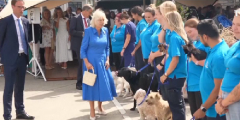 Regina Camilla a Marii Britanii a inaugurat o grădină prietenoasă cu animalele