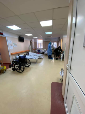 Două persoane din Ialomița, tată și fiu, sub suspiciune de infecție cu Antrax / Ministerul Sănătății: Analizele efectuate vor stabili cu exactitate dacă este vorba despre un caz confirmat de antrax