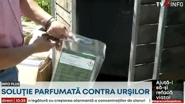 Soluție parfumată contra urșilor. Primăria Râșnov experimentează o nouă metodă de alungare a acestora din zonele locuite
