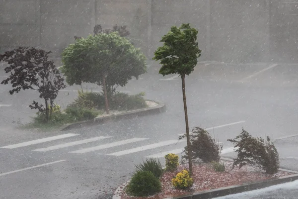 Cod galben de vijelii în Bucureşti şi în localităţi din judeţele Prahova şi Ilfov, luni seara