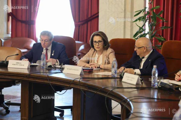 Nicoleta Pauliuc: România vrea un cadru clar, modern și ferm pentru protejarea copiilor online