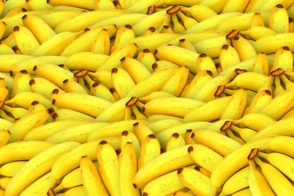 Rusia confiscă cea mai mare cantitate de droguri din 2025, 820 de kilograme de cocaină provenind din America Latină, ascunse în containere cu banane