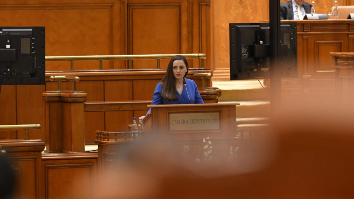 Hohote de râs în Parlament. Anamaria Gavrilă a încurcat „fața” cu „spatele” într-un discurs în plenul Parlamentului