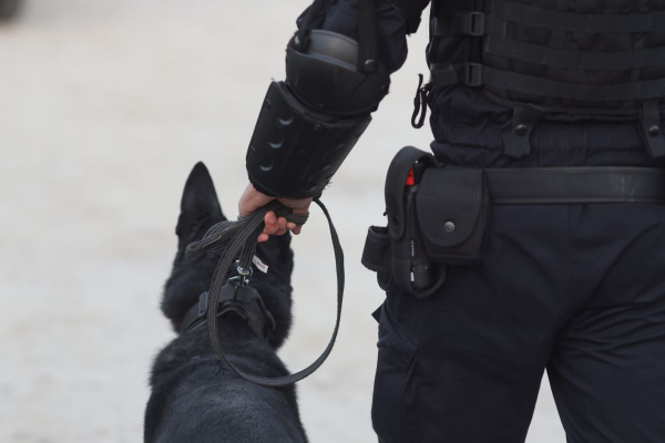 400 de polițiști, jandarmi, pădurari și paznici de vânătoare îl caută pe bărbatul suspectat că și-a ucis fosta iubită și i-a incendiat locuința