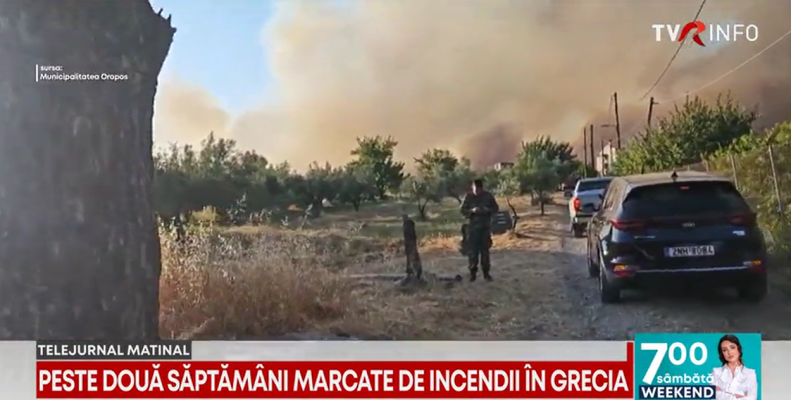 Incendiu puternic pe insula Thassos. Flăcările ar fi  pornit de la un bar de pe plajă