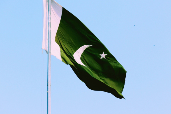 Autorităţile din Pakistan au confiscat 18 lei ţinuţi ca animale de companie în urma unei descinderi, după ce unul dintre animalele sălbatice a scăpat din imobilul unde era ținut şi a atacat o femeie şi doi copi a scăpat