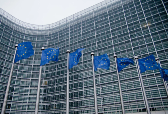 Von der Leyen, atacată de un europarlamentar AUR