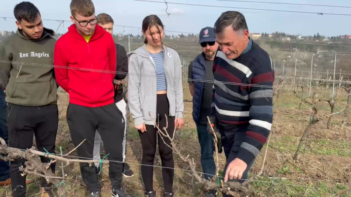 Cursuri gratuite de horticultură la Iași. Doritorii învață cum se taie corect vița de vie