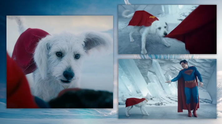 Noul film Superman a ridicat interesul pentru adopțiile de câini cu peste 500%. Cine e Krypto, personajul surpriză portretizat de James Gunn