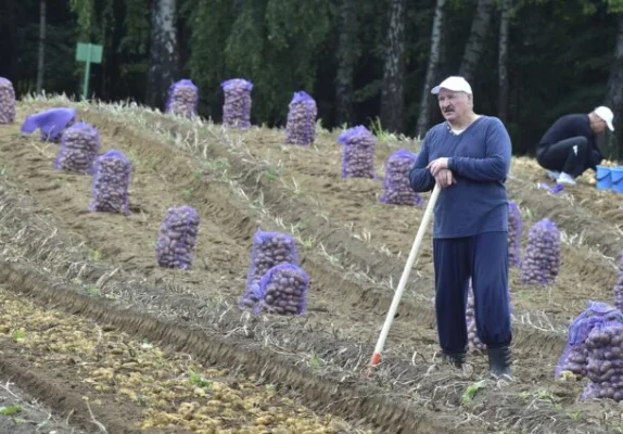 AKTUAL24 | „Prosperitatea” dictaturilor: în Belarus, cartoful a ajuns un produs de lux