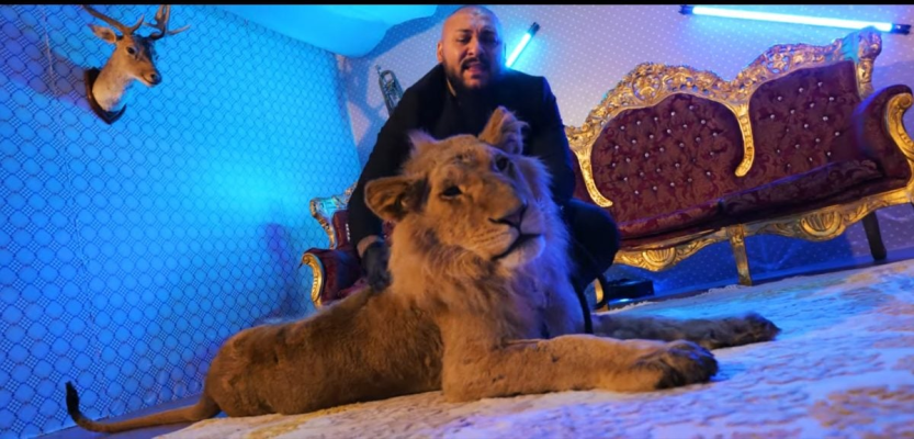 O primărie din județul Constanța pune la bătaie 400.000 de euro pentru concerte timp de 7 zile cu Dani Mocanu, Nicolae Guță sau Vali Vijelie, în contextul tăierilor bugetare anunțate de Guvernul Bolojan