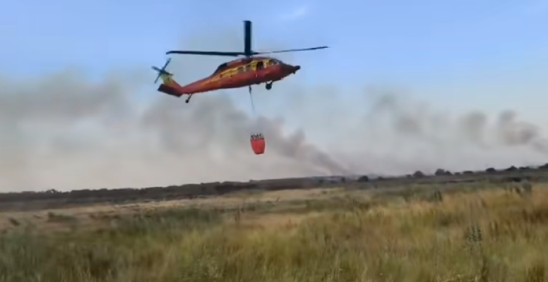 Tulcea: Circa 330 de hectare afectate de incendiu, în apropiere de Chilia Veche