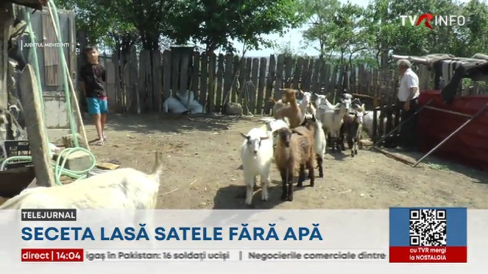 Restricții de apă în mai multe zone din sudul țării, din cauza secetei. Probleme cu adăparea animalelor
