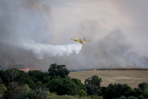 Spania, cuprinsă de incendii de vegetație. Aproape întreaga țară se află sub avertizare de caniculă