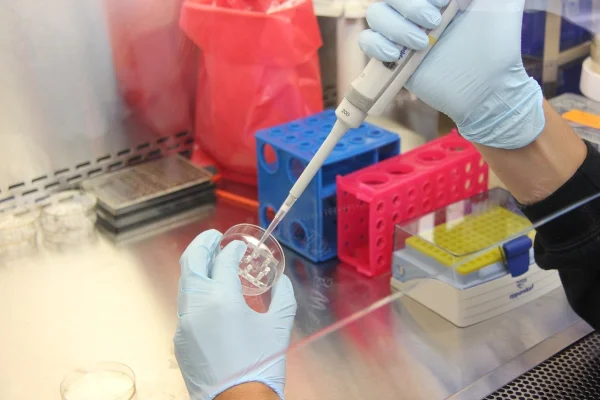 Un copil din fiecare clasă din Regatul Unit se naşte ca urmare a fertilizării in vitro