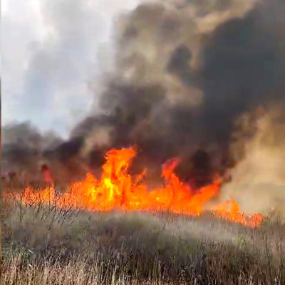 Incendiu în Parcul Naţional Munţii Rodnei / Intervin pompierii de la Inspectoratele pentru Situaţii de Urgenţă Bistriţa-Năsăud şi Maramureş