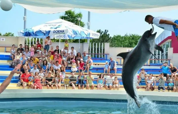 Delfinariul s-a redeschis. 1,9 milioane de lei contractul pentru reprezentaţiile cu delfini ucraineni