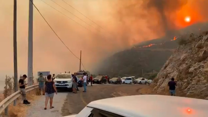 Incendii puternice pe coasta vestică a Turciei / Unul dintre cele mai mari, la sud de orașul Izmir
