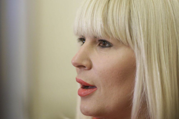 Elena Udrea, aviz favorabil pentru liberare condiționată de la Penitenciarul Târgșor. Instanța decide pe 26 iunie