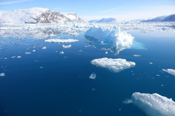 Meteorolog norvegian: „Gheața arctică se topește, urșii polari dispar"