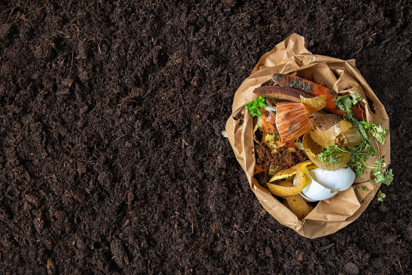 Deșeurile alimentare: O soluție biodegradabilă pentru criza plasticului?