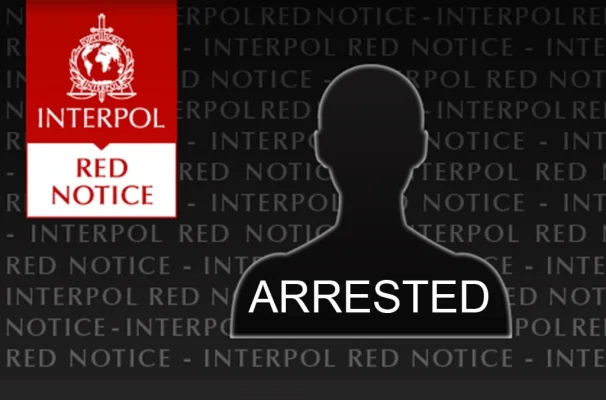 Interpol a arestat 20 de persoane suspectate de pornografie infantilă în 12 ţări