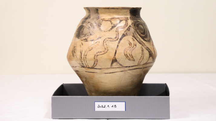 Moment istoric românesc la UNESCO: Procedură de restaurare încheiată pentru vasul de Cucuteni-Trypillia, cel mai vechi obiect de artă din colecția organizației