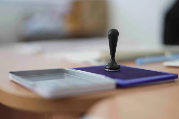 Autoritatea Electorală Permanentă: Procedura de vot pentru turul al doilea al alegerilor prezidenţiale din anul 2025 va începe joi, în străinătate, la ora 22.00, ora României, odată cu deschiderea secţiei de votare din Auckland, Noua Zeelandă