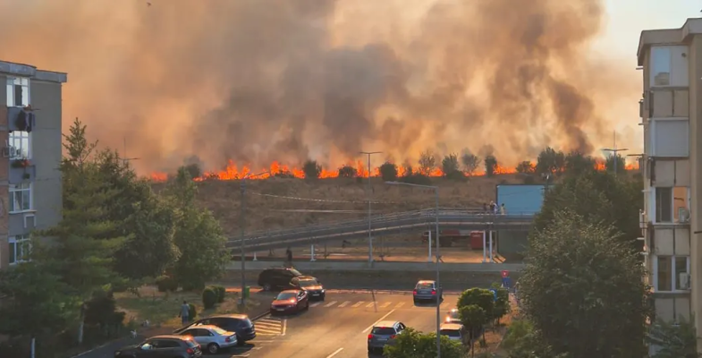 SPECIAL ARAD | Trei incendii de vegetație în Arad. Risc de extindere la locuințe și autoturisme