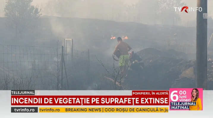 Incendii de vegetație în Argeș, Tulcea și Dâmbovița. Pompierii, ajutați de localnici să oprească extinderea flăcărilor la marginea Aradului