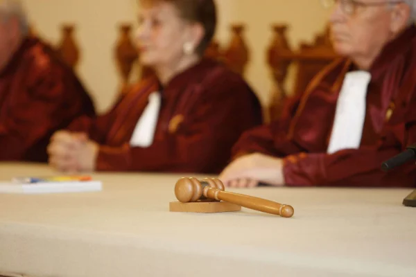 Cine sunt judecătorii care au votat împotriva candidaturii Dianei Șoșoacă la alegerile prezidențiale