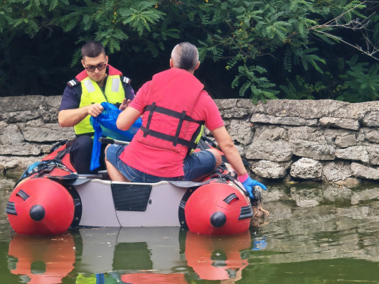 Garda de Mediu va face plângere penală după ce cadavrele a 18 rațe sălbatice, inclusiv boboci, au fost descoperite pe lacul din Parcul Crâng, rămășiță a codrilor Vlăsiei / Gripa aviară a fost exclusă, alte suspiciuni sunt luate în calcul