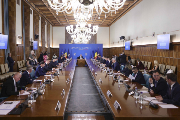 Guvernul face inventar la sporuri și „sinecuri”. Primul comitet amputat a rămas cu 5 membri din 17 și cu indemnizații reduse cu 75%