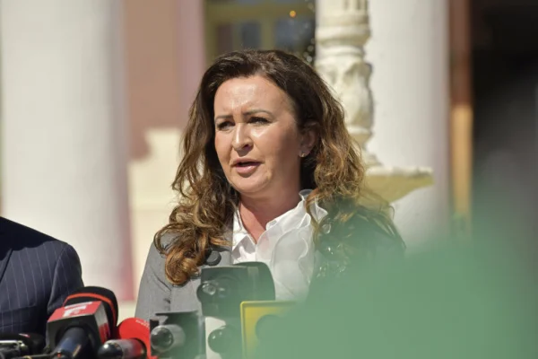 Intotero propune crearea unui fond pentru recompense care să ducă la recuperarea obiectelor de artă