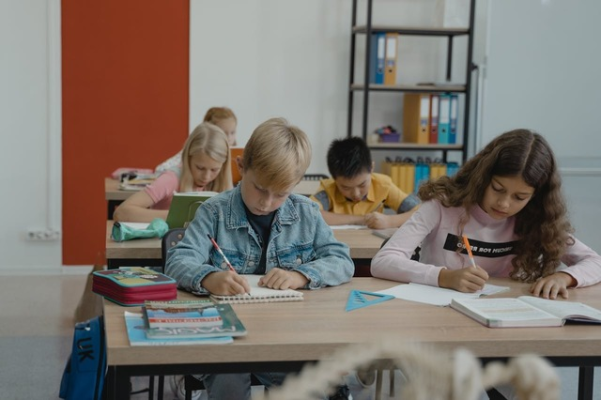 Sindicatele din învățământ:Măsurile adoptate de Guvern vor conduce la un haos general