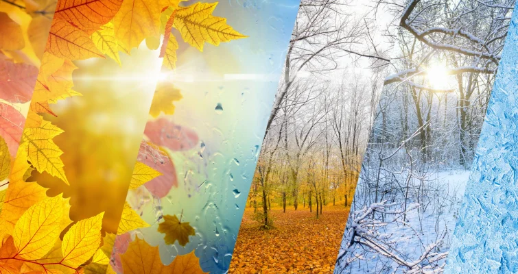 Surprinzătoarea legătură dintre baloanele meteorologice și „tăierile” impuse de administrația Trump