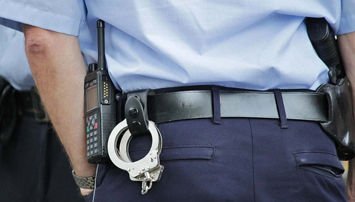Program de guvernare/Interne: Reorganizare a structurilor teritoriale ale Poliţiei şi Jandarmeriei