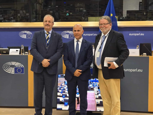 Vasile Dîncu, ales vicepreședinte al Delegației Parlamentului European la Adunarea Parlamentară NATO