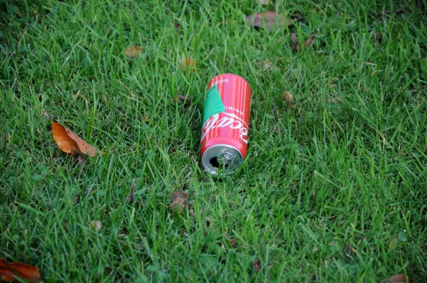 Danezii boicotează Coca-Cola, după ce Donald Trump a spus că SUA ar urma să anexeze Groenlanda