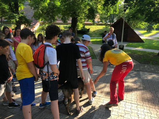 Vacanța de vară 2025. Cât costă taberele pentru copii