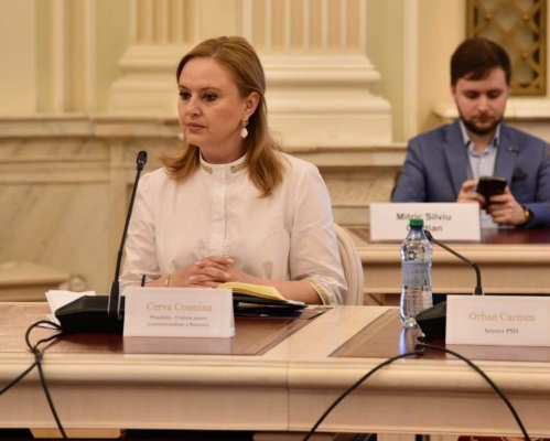 Salvarea vine de la S.O.S.? Partidul Dianei Sosoaca, singurul din Parlament care a contestat numirea fostului subofiter de politie Mihai Busuioc la Curtea Constitutionala
