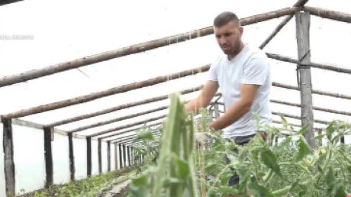 Culturi distruse de grindină în Prahova. Zona nu era sub protecția Sistemului Antigrindină, însă tragerile cu rachete sunt oricum suspendate în toată țara