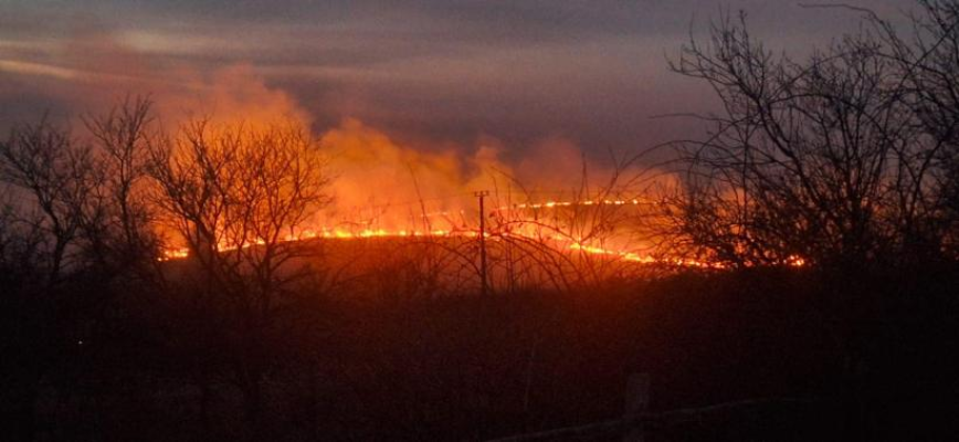 Incendii de vegetație în Dolj și Mehedinți: Culturi de grâu distruse de flăcări