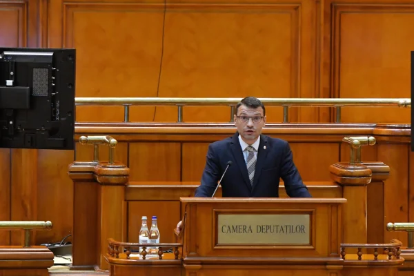 Rodeanu: Trebuie să ceri voie BEC-ului ca să spui cu cine votezi. Asta e România anului 2025