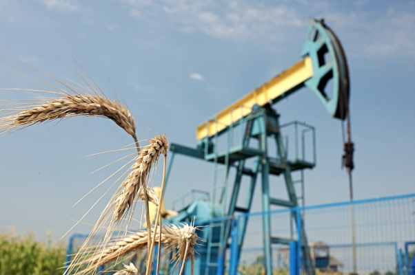 OMV Petrom anunță o nouă descoperire de gaze naturale în Spineni, lângă Craiova / Potențial de producție de 180.000 m³ de gaze naturale pe zi