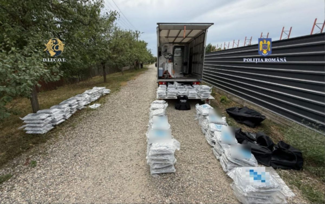 Traficanți de droguri arestați după o anchetă DIICOT. Au introdus în țară 170 de kilograme de canabis și 5 kilograme de cocaină
